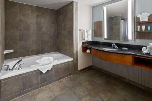 米尔福德迈尔福德希尔顿花园旅馆的带浴缸和盥洗盆的浴室
