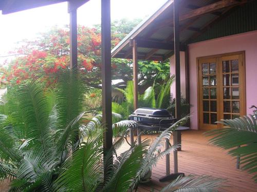 飞鱼湾木槿之家旅馆的种有植物的房子里,有一个烧烤的庭院
