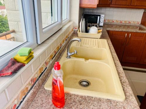 达累斯萨拉姆Platinum apartment的带水槽和苏打水瓶的厨房台