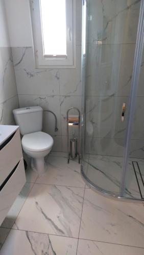 韦巴D.W.卡米尔度假屋酒店的一间带卫生间和淋浴的浴室