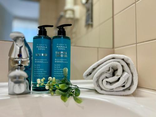 克莱佩达梅梅尔酒店 的浴室水槽内备有2瓶肥皂和毛巾