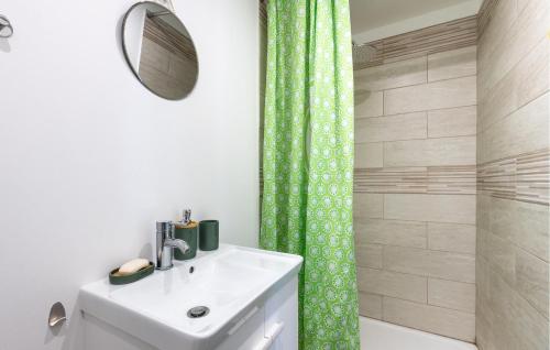AmblainvilleNice Apartment In Amblainville With Kitchenette的浴室设有水槽和绿色的淋浴帘