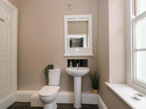 汤顿Buckland House Annex的一间带卫生间、水槽和镜子的浴室