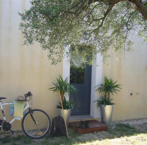 ArgilliersApartment Uzès Pont du Gard的停在植物丛中房子前面的自行车