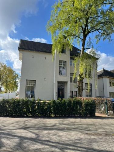 阿珀尔多伦Luxe kamer in stadsvilla, gratis parkeren!的前面有一棵树的白色房子