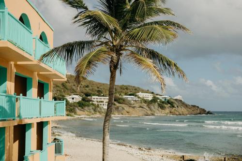 克里斯琴斯特德Grapetree Bay Hotel and Villas的海滩上的棕榈树,毗邻一座建筑