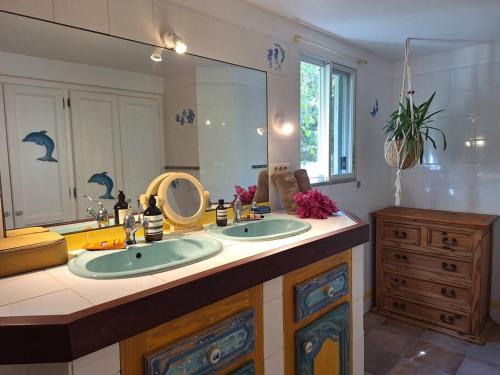 Saint BarthelemyIndawood的一间带两个盥洗盆和大镜子的浴室