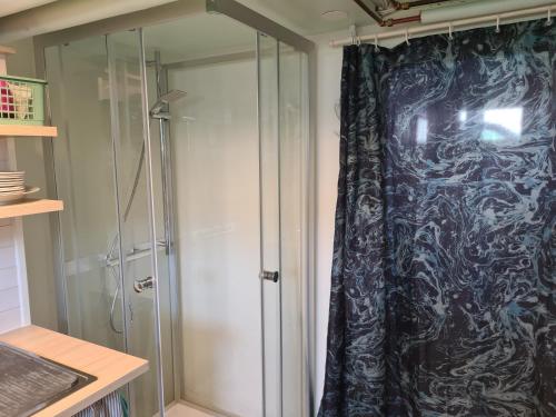HällingsjöEnekullen的浴室里设有玻璃门淋浴