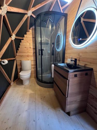 摩泽尔河畔的鲁普特Dôme l'Escapade Insolite的一间带卫生间和玻璃淋浴间的浴室