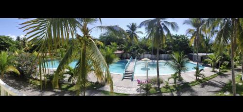 El ZapoteCoconut village的享有棕榈树游泳池的景色