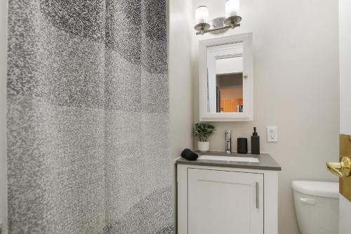 芝加哥1BR Tranquil Hyde Park Apartment - Harper 202 & 402 rep的浴室配有淋浴帘和盥洗盆。