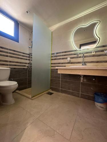 赫尔格达Al mashrabiya apartment 2 bed room的一间带卫生间、水槽和镜子的浴室