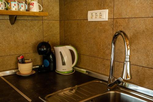 巴伊纳巴什塔Dedin Drinski Dom的厨房柜台设有水槽和搅拌机