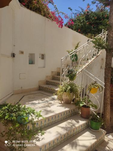 艾尔亚奈Villa avec j'ardin的一套楼梯,上面有盆栽植物
