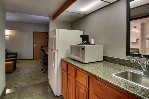 圣安东尼奥圣安东尼奥西北医疗中心旅馆及套房德鲁酒店的厨房配有白色冰箱和水槽