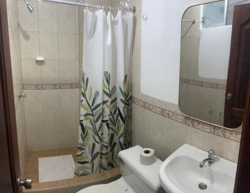 阿塔卡梅斯HOTEL PAL-MAR的一间带水槽和淋浴帘的浴室