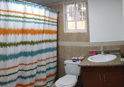 蓬塔卡纳Hostal Palmas De Punta Cana的一间带卫生间和淋浴帘的浴室