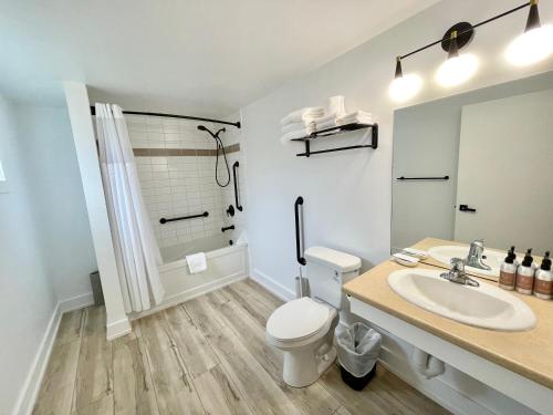 尤克卢利特Ukee Peninsula Motel的一间带水槽、卫生间和淋浴的浴室