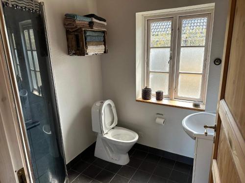 基巴埃克Holiday home Kibæk的浴室配有卫生间、淋浴和盥洗盆。