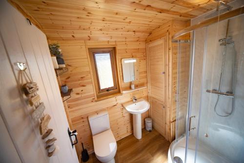 霍利黑德Beautiful Log Cabin with hot tub的一间带水槽、卫生间和淋浴的浴室