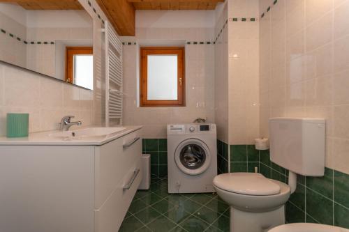 阿莱盖Residence Rosental的浴室配有卫生间水槽和洗衣机。