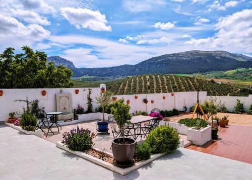 特拉武科新镇Casa Celeste Trabuco的庭院设有桌椅和葡萄园。