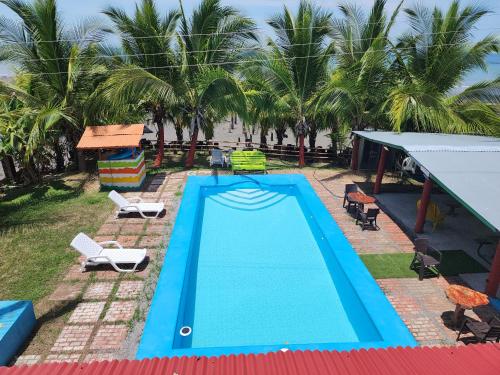 LimonesTres Monos Hotel, Restaurante, Piscina, Bar的享有棕榈树游泳池的顶部景致