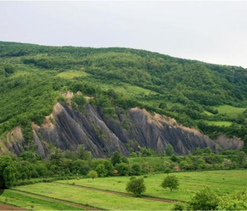 MehadiaLa Grădina的山地草场