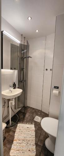 赫尔辛基Pikkuhuoneisto loistosijainnilla Töölössä的白色的浴室设有水槽和淋浴。
