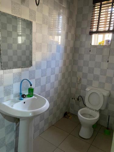 拉各斯Favour Place的一间带水槽和卫生间的浴室