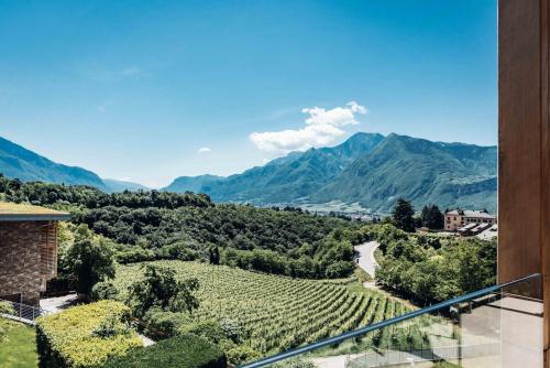 特伦托玛杜左别墅酒店的享有葡萄园和山脉的美景。