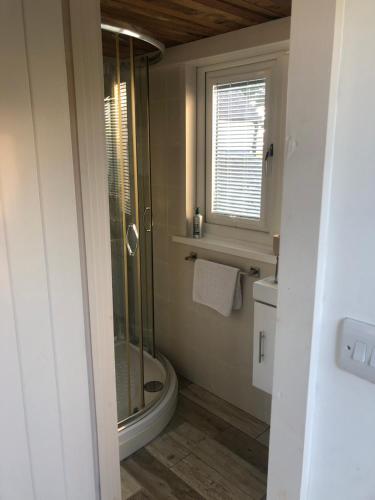 斯旺西Ger Tŷ的带淋浴和卫生间的浴室以及窗户。