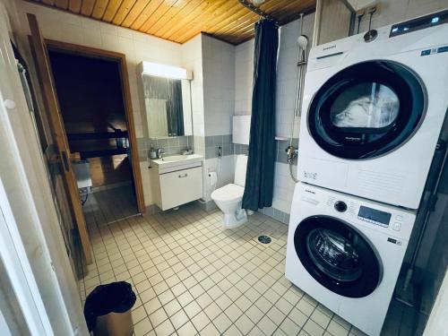 赫尔辛基Ruoholahti Apartment with private sauna的一间带卫生间的浴室内的洗衣机