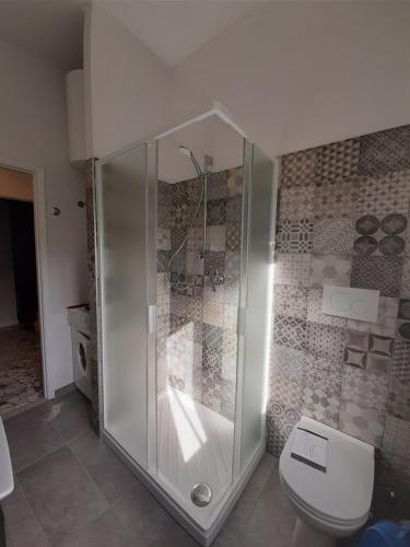 帕尔马La Casa di Amelie的带淋浴和卫生间的浴室