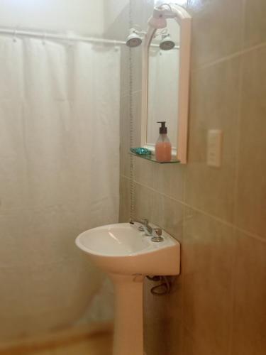 奇莱西托Cabaña "Amanecer"的一间带水槽、镜子和淋浴的浴室