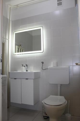 普利特维采湖Apartman Black River的一间带卫生间、水槽和镜子的浴室