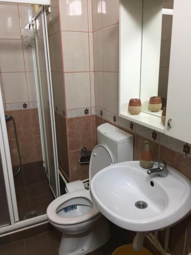 里巴斯卡班亚Apartman Spasic的浴室配有卫生间、盥洗盆和淋浴。