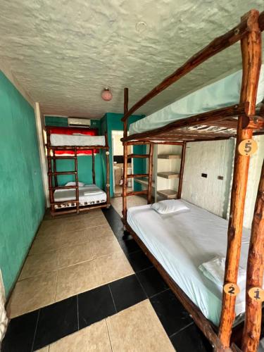 蒙塔尼塔KIWi MONTAÑITA的带两张双层床的绿色墙壁客房