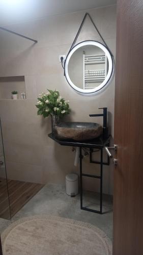 PrijepoljeZlatna Jabuka Lux的浴室设有镜子和植物水槽