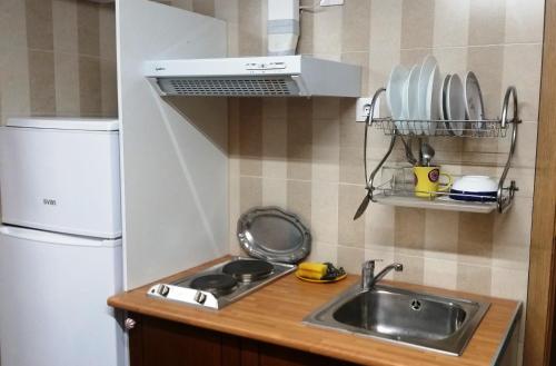 略夫雷加特河畔奥斯皮塔莱特Coliving 87 Estudio Numero 10的一间带水槽和冰箱的小厨房