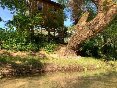 Magical Treehouse w sandy beach