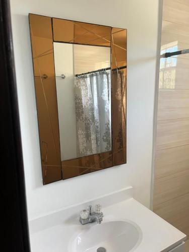 普罗维登西亚莱斯岛R & A turquoise Rental的一间带水槽和镜子的浴室