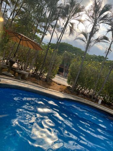 TapantíHotel Nacaome Blue Zone的一个带遮阳伞和棕榈树的游泳池