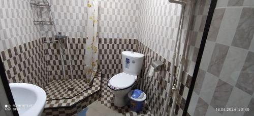 希瓦Khiva Saodat Guest House的一间带卫生间和水槽的小浴室