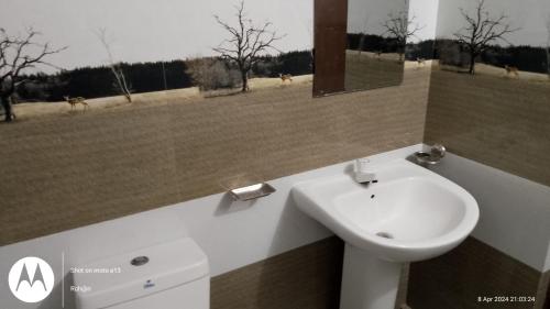阿努拉德普勒Anuhas Family Resort & Water House的一间带水槽、卫生间和镜子的浴室