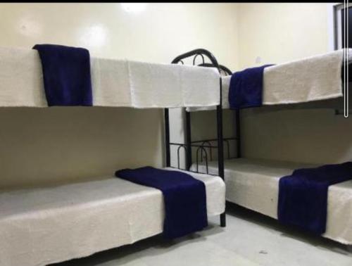 迪拜Backpackers Hostel的蓝色和白色的客房内的三张双层床