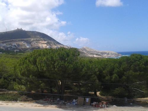 Dar el Koudiamaison à louer les grottes Bizerte Tunisie的享有树木茂密的山丘和大海的景色