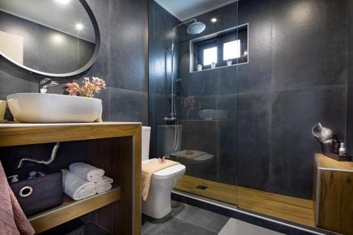 雅拉尼奥Santy Villa的一间带水槽、卫生间和淋浴的浴室
