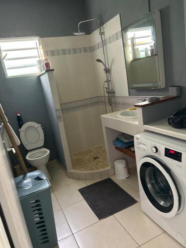 拉特里尼泰Maison tartanaise的带淋浴和洗衣机的浴室