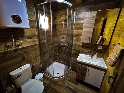 威尔帕扎Green Field Apartments的带淋浴、卫生间和盥洗盆的浴室